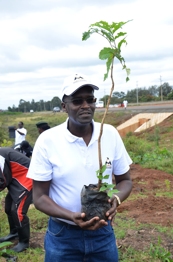 TreePlanting201416.jpg