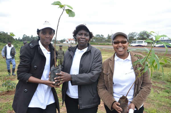 TreePlanting201417.jpg